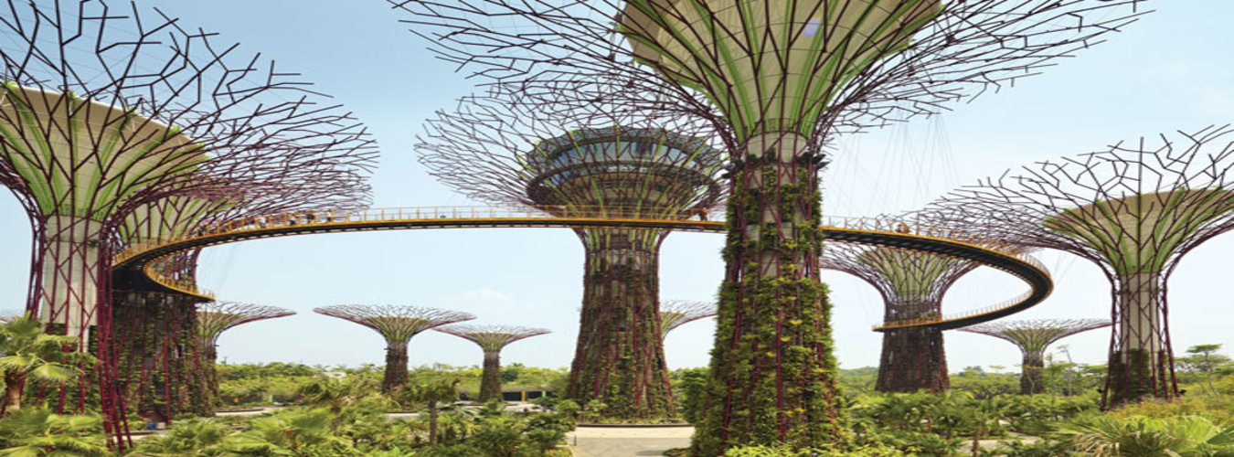 Deliteful Singapore 5N6D