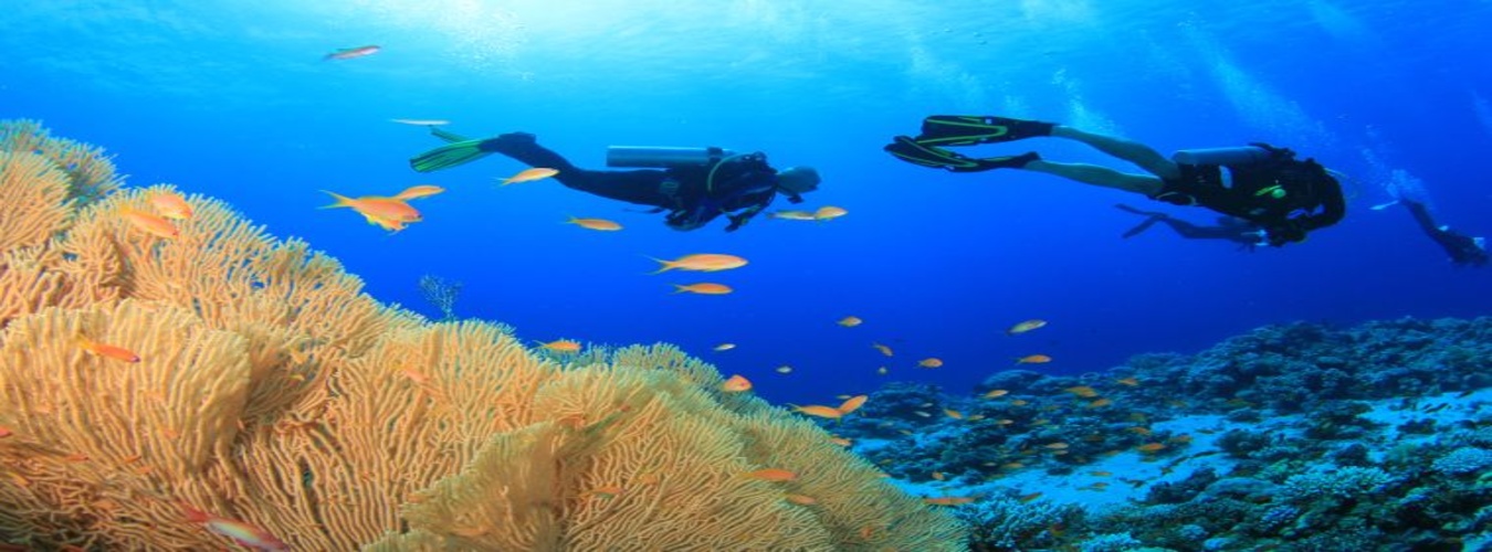 Amazing Andaman 5N6D